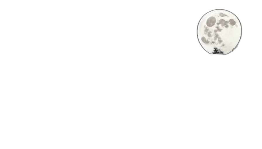 happy, lovers, leaving, together, night, walking, towards, full transparent PNG cut-out