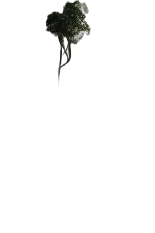 staff, flower, umbrella, mask transparent PNG cut-out