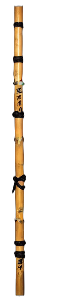 staff, weapon, sword, umbrella transparent PNG cut-out