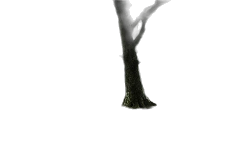 tree, creature, staff, crown, 3d render, concept art, photorealistic, fantasy art transparent PNG cut-out