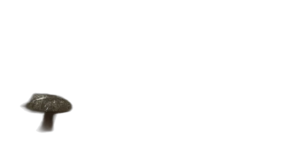 staff, furniture, shoes, jewelry, earth tones, monochrome, strange, alien transparent PNG cut-out