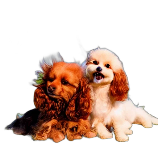 animal, photorealistic, oil painting, watercolor transparent PNG cut-out