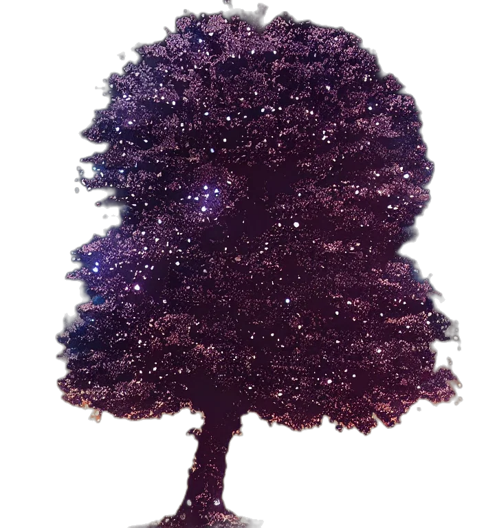 tree, crown, hat, staff transparent PNG cut-out