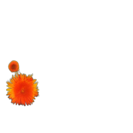 flower, crown, weapon, staff, 3d render, pixel art, concept art, photorealistic transparent PNG cut-out