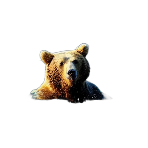 animal, creature, face, concept art transparent PNG cut-out