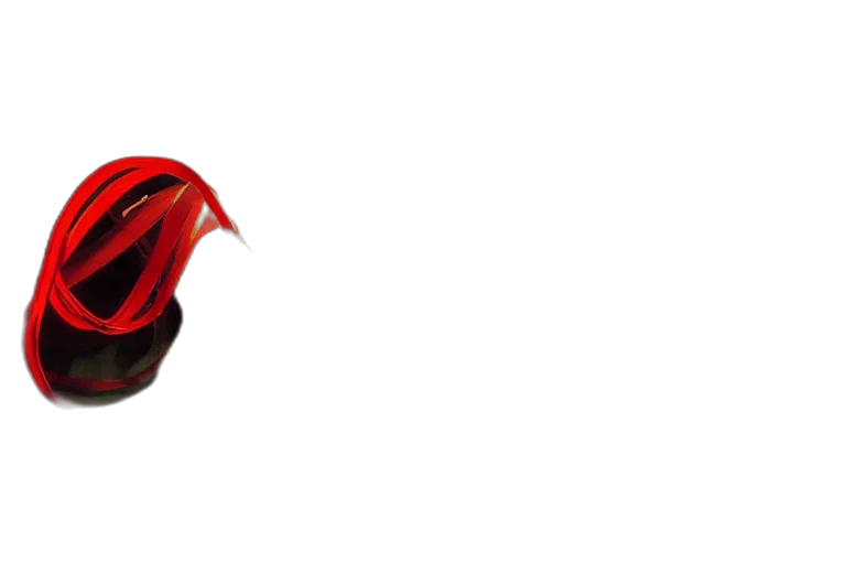 shoes, mask, car, umbrella, 3d render, photorealistic, concept art, red transparent PNG cut-out