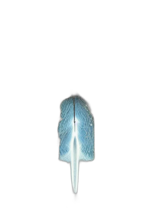 umbrella, staff, hair, sword transparent PNG cut-out