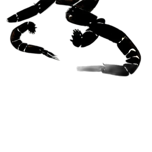 staff, robot, dragon, creature transparent PNG cut-out