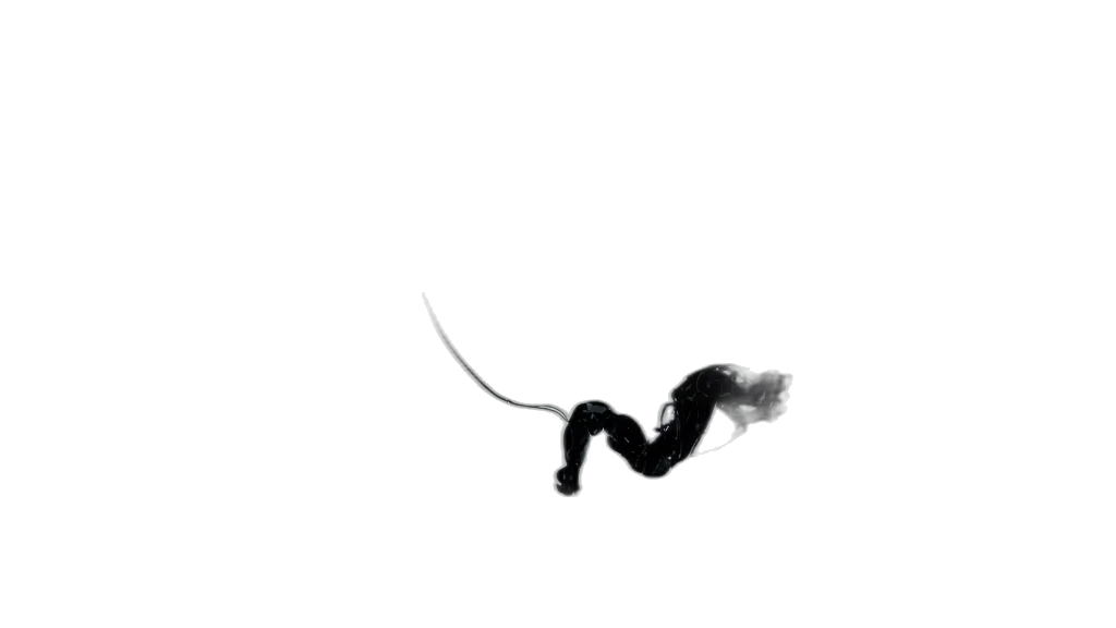 hair, dragon, staff, animal transparent PNG cut-out