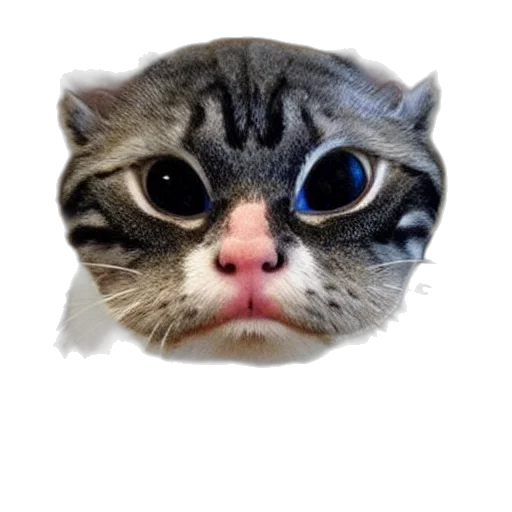 animal, face, creature, mask, photorealistic, 3d render, concept art, pixel art transparent PNG cut-out