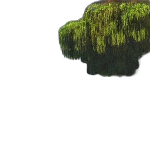 tree, crown, hat, hair, pixel art, 3d render, concept art, fantasy art transparent PNG cut-out