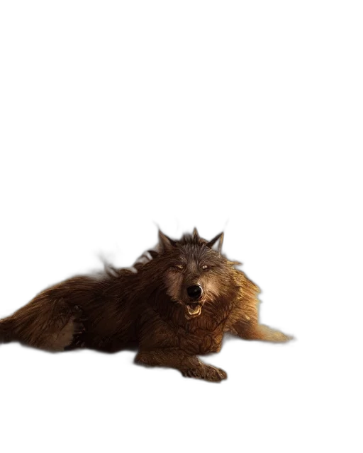 animal, creature, hair, staff transparent PNG cut-out