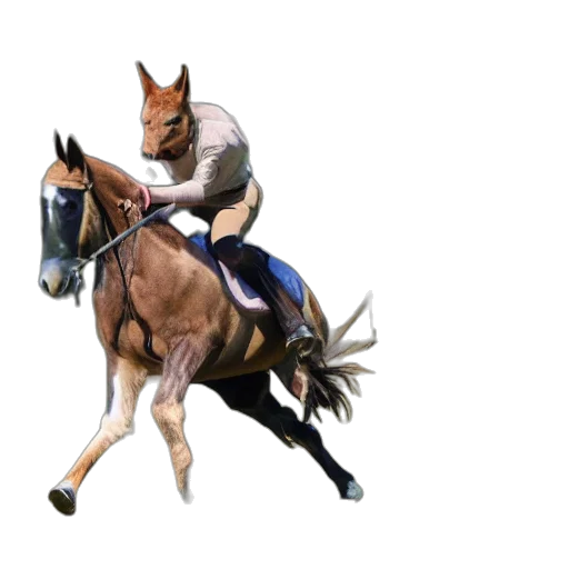animal, staff, jacket, photorealistic transparent PNG cut-out