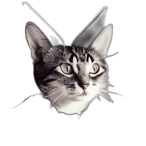 animal, staff, hat, crown, photorealistic, pixel art, cartoon, concept art transparent PNG cut-out