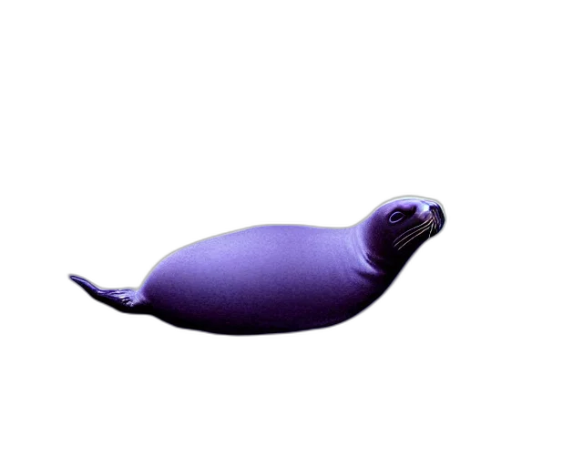 animal, creature, bottle, hair transparent PNG cut-out