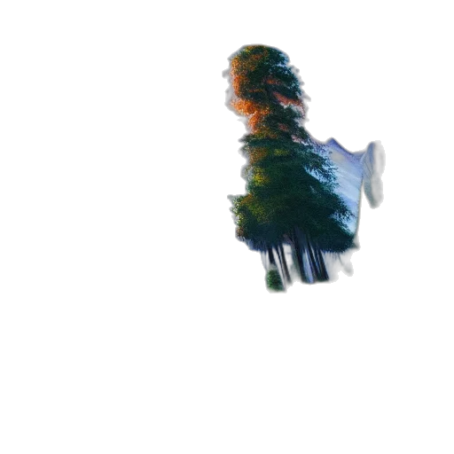 tree, creature, hair, crown transparent PNG cut-out