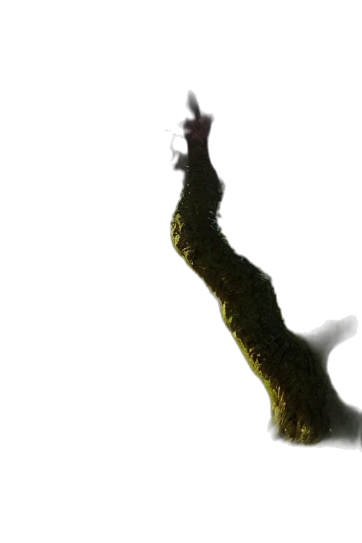 tree, hair, staff, creature transparent PNG cut-out