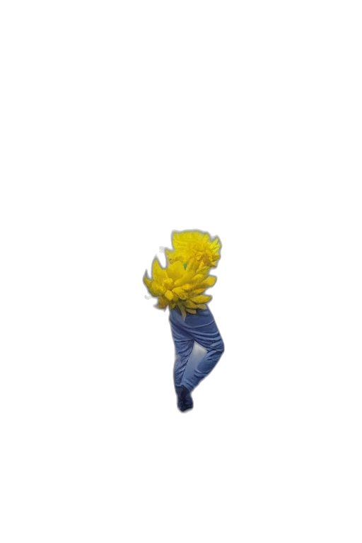 flower, hair, creature, weapon, 3d render, pixel art, concept art, photorealistic transparent PNG cut-out
