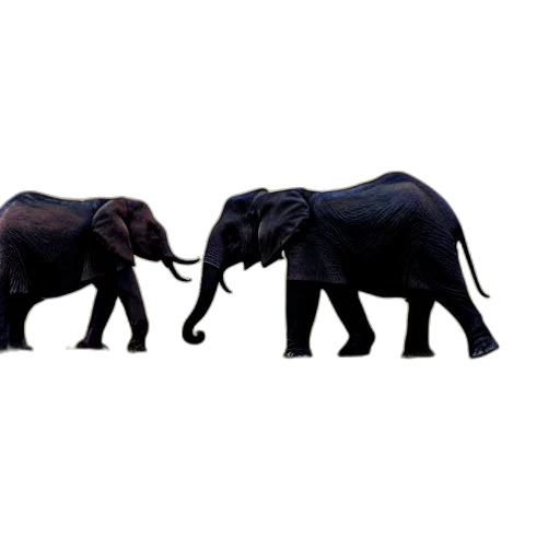 animal, umbrella, concept art, 3d render transparent PNG cut-out