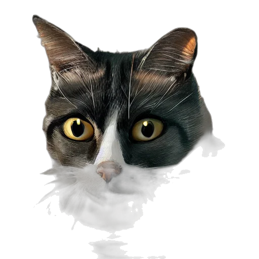 face, animal, creature, mask, photorealistic, oil painting, watercolor, pencil sketch transparent PNG cut-out