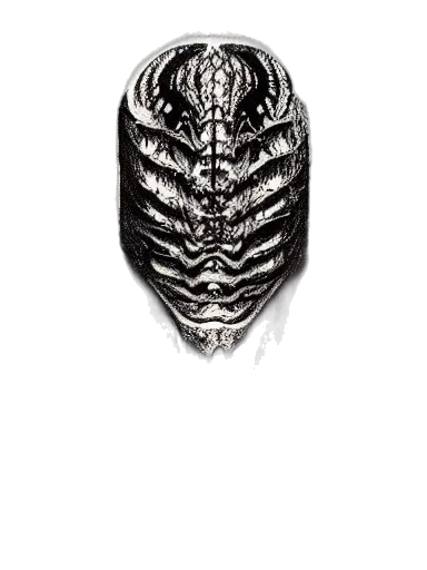 crown, creature, mask, animal transparent PNG cut-out
