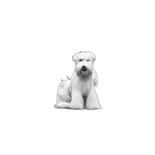 animal, staff, hat, creature, photorealistic, pencil sketch, pixel art, 3d render transparent PNG cut-out