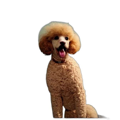 animal, creature, hair, staff transparent PNG cut-out