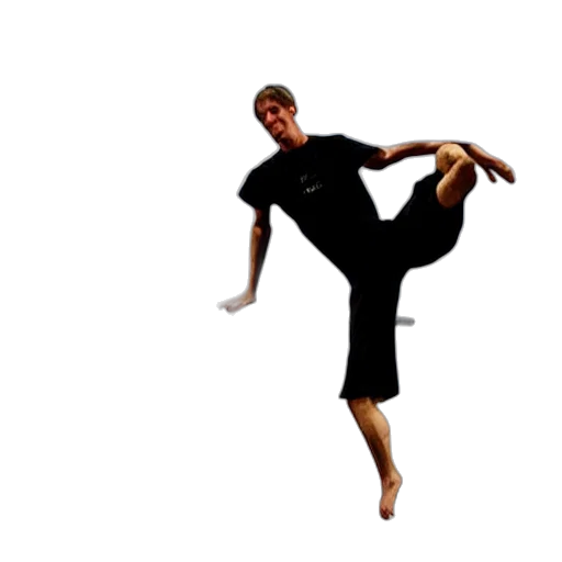 staff, tony, hawk, pro transparent PNG cut-out