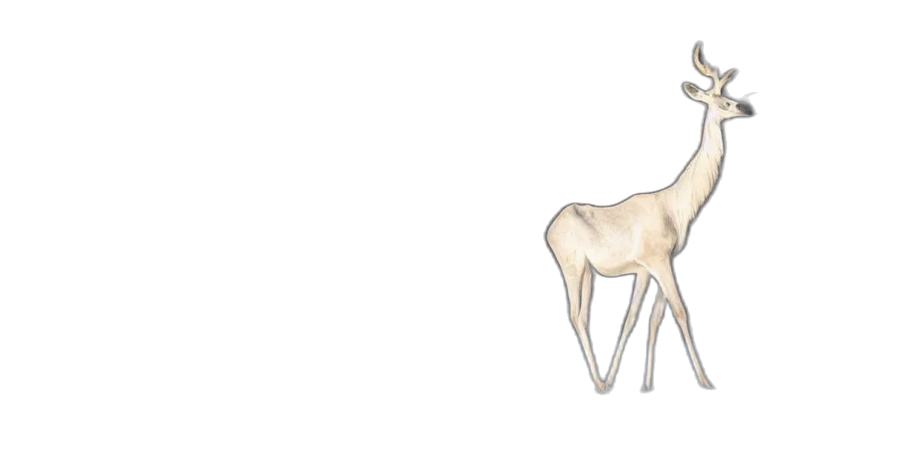 animal, jewelry, creature, concept art transparent PNG cut-out