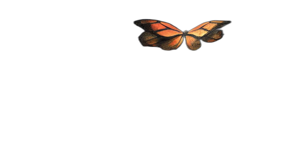 animal, jewelry, creature, furniture transparent PNG cut-out