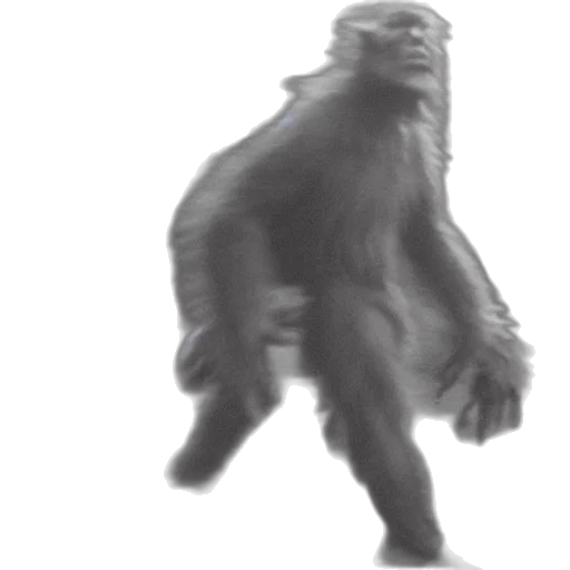 creature, animal, 3d render, concept art, photorealistic, footage, sasquatch, caught transparent PNG cut-out