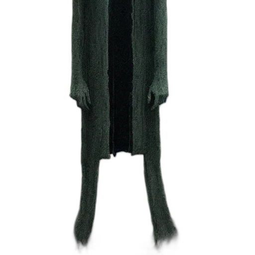 dress, jacket, staff, creature transparent PNG cut-out