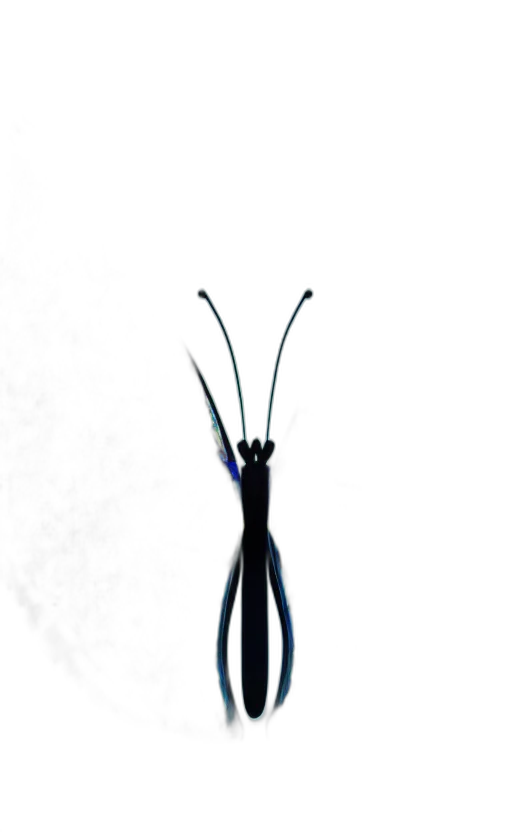 creature, animal, staff, robot transparent PNG cut-out