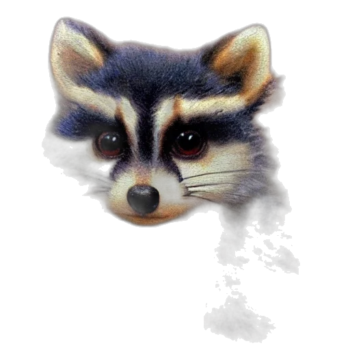 animal, creature, face, mask transparent PNG cut-out