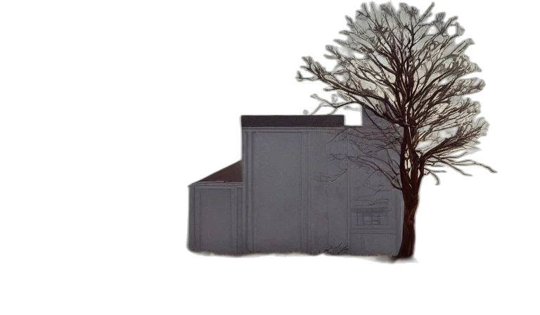 tree, furniture, building, crown transparent PNG cut-out