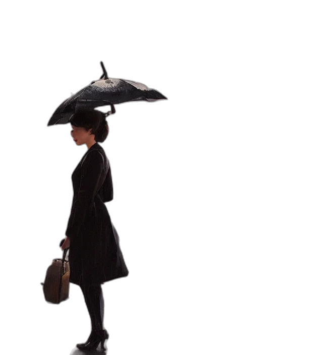 umbrella, hat, jacket, dress transparent PNG cut-out