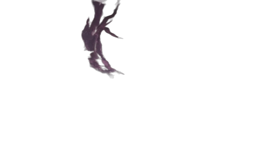 dragon, creature, animal, hair transparent PNG cut-out