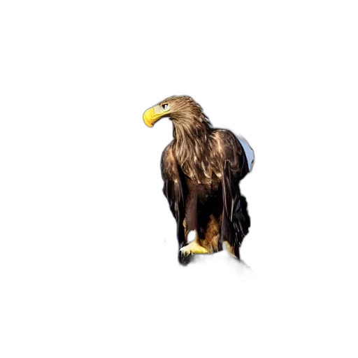 animal, creature, staff, weapon transparent PNG cut-out