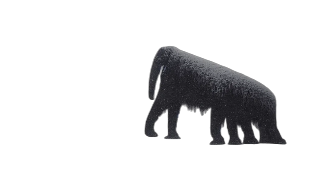 animal, creature, hair, furniture transparent PNG cut-out