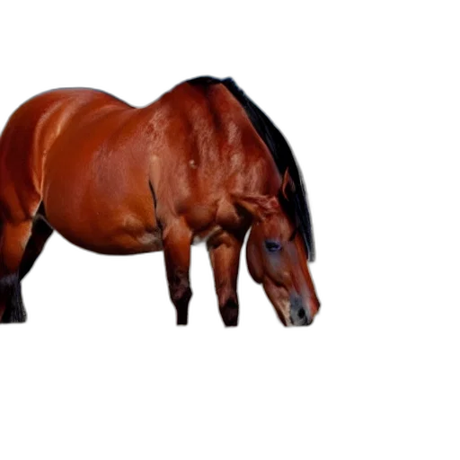 animal, creature, furniture, crown, 3d render, photorealistic, concept art, oil painting transparent PNG cut-out