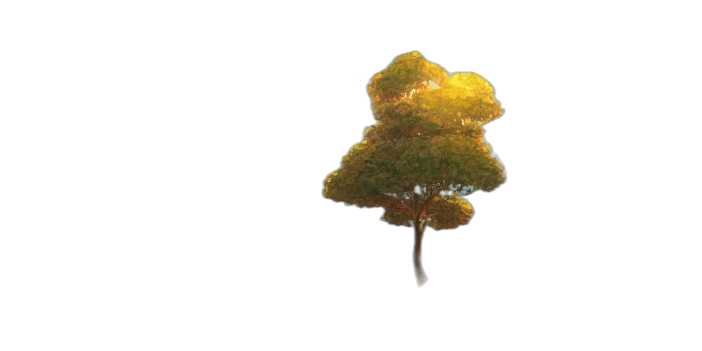 tree, crown, hat, umbrella transparent PNG cut-out
