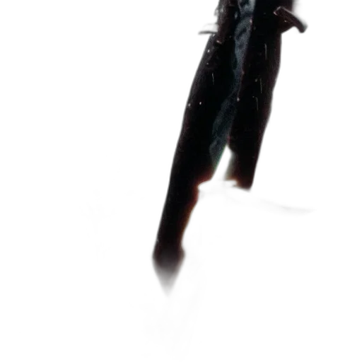 animal, creature, staff, dragon transparent PNG cut-out