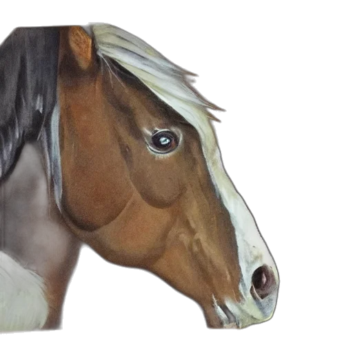 animal, mask, face, hat, photorealistic, oil painting, watercolor, 3d render transparent PNG cut-out