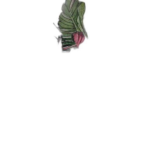 flower, staff, jewelry, crown, 3d render, photorealistic, concept art, pixel art transparent PNG cut-out