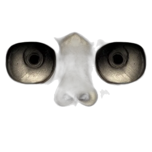mask, face, creature, animal transparent PNG cut-out