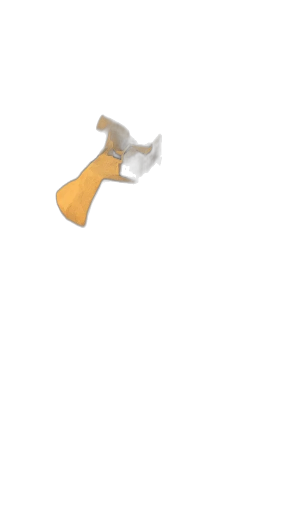 weapon, staff, sword, shoes transparent PNG cut-out
