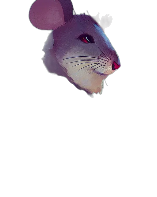 animal, creature, hat, face transparent PNG cut-out