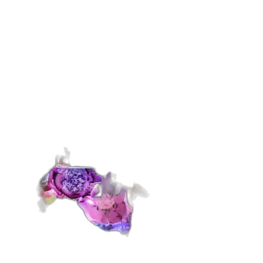 flower, jewelry, weapon, bottle transparent PNG cut-out