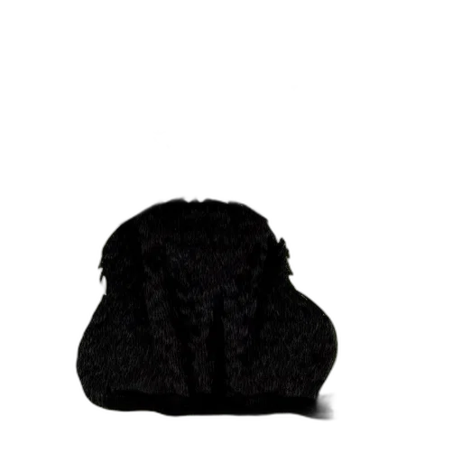 hat, jacket, crown, mask, dark, monochrome, portrait, cat transparent PNG cut-out