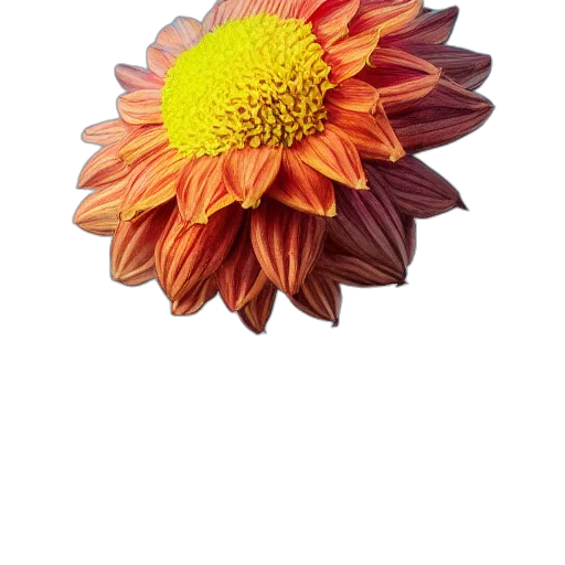 flower, crown, jewelry, staff, photorealistic, 3d render, watercolor, oil painting transparent PNG cut-out